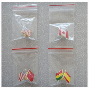 Canada & USA Friendship Pin